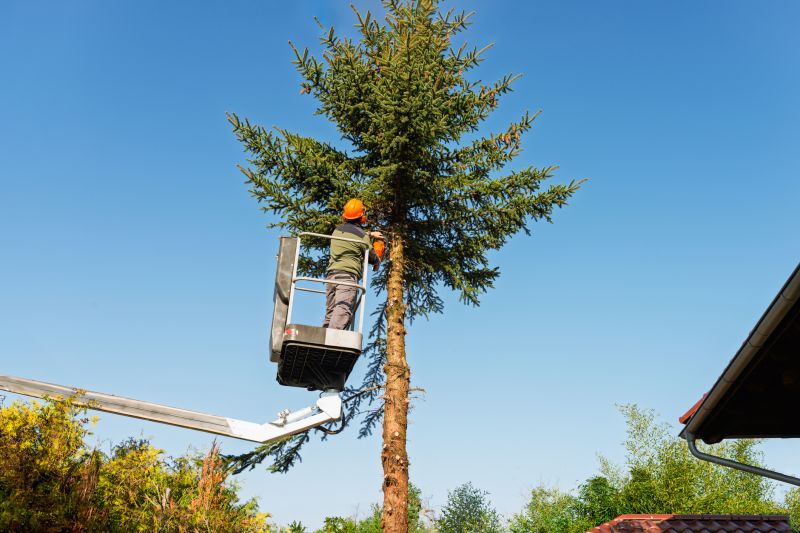 Safety Tree Trimming